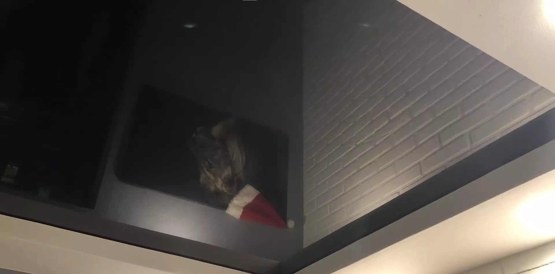 Шахты, Индустриальная улица, 7Б, фото 3