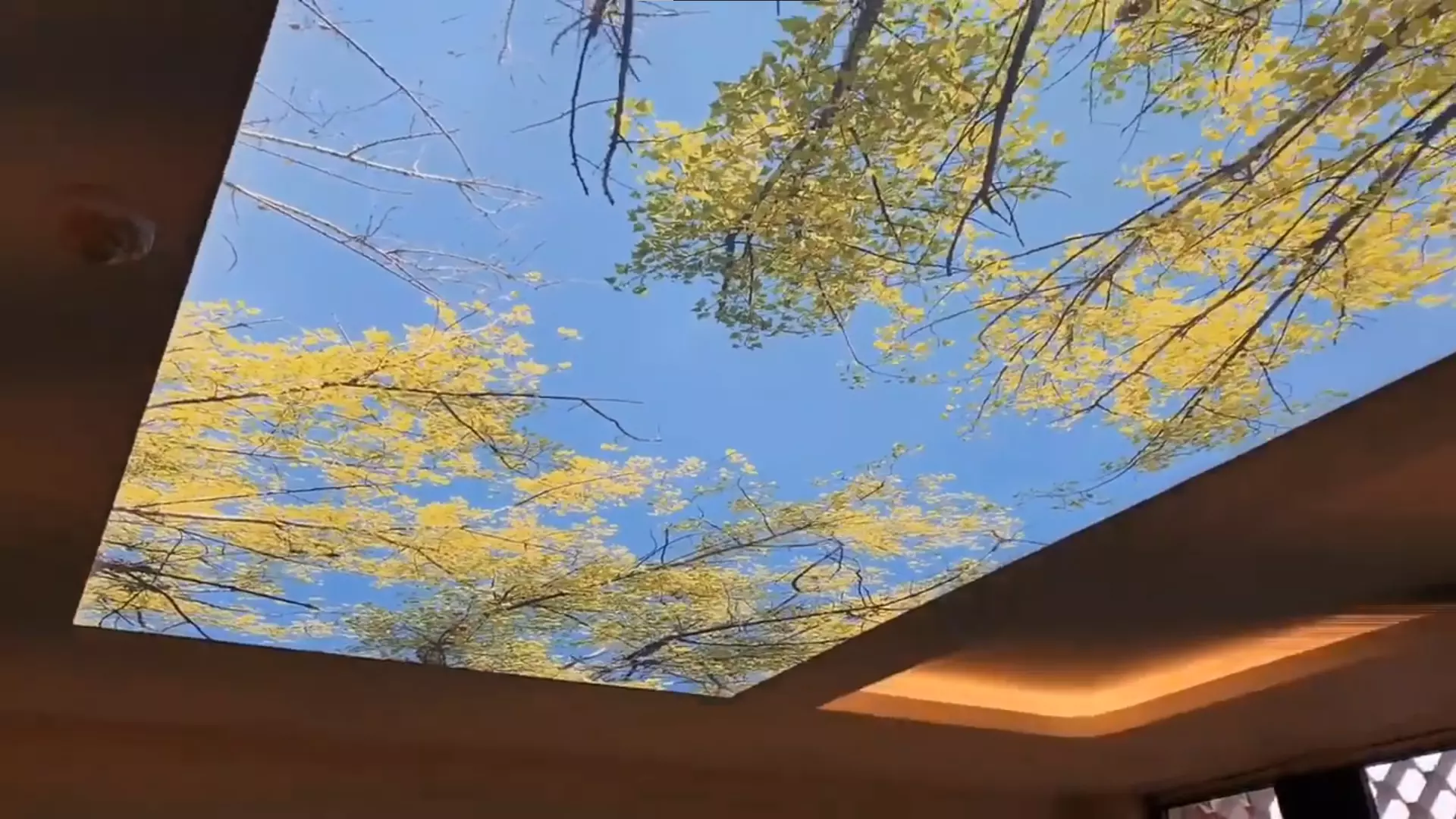 Калининград, Согласия, 44, фото 3